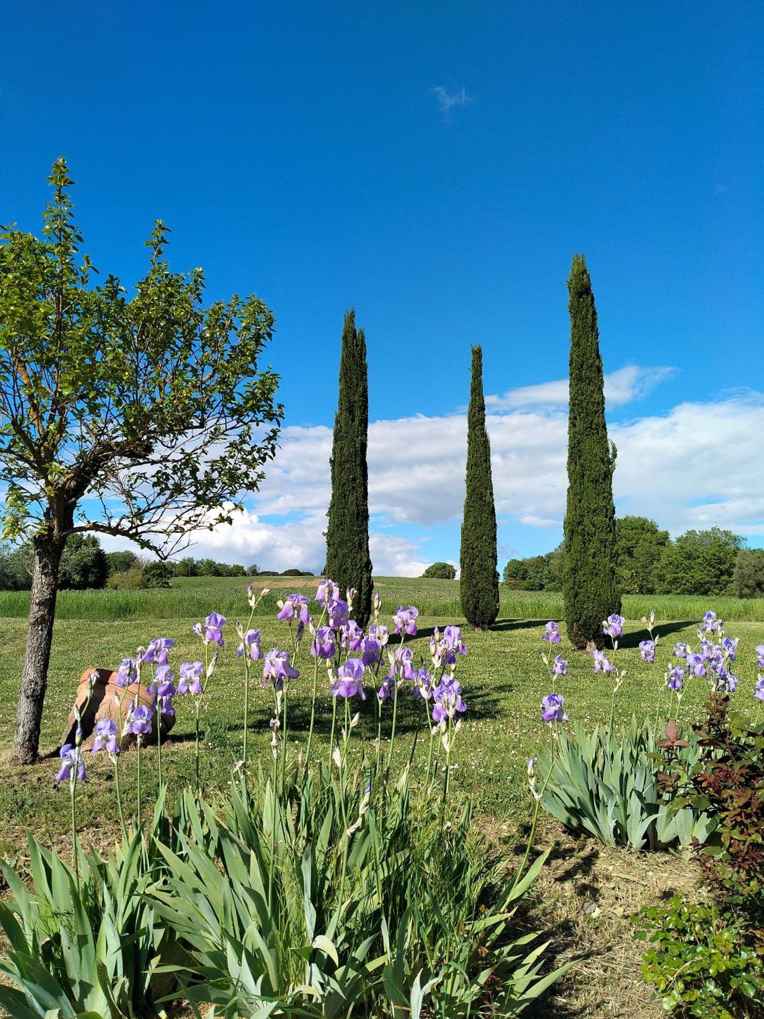 Villa Nobile Cortona Family Apartments ภายนอก รูปภาพ